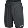 JAKO Short Anderlecht 2.0 4403-21