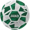 JAKO Trainingsbal River 2342-666