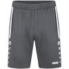 JAKO Trainingsshort Allround 8589-820